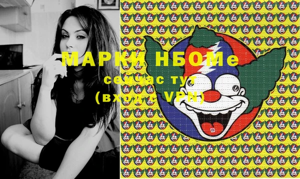 стаф Липки