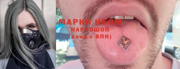 стаф Липки