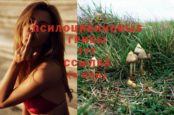 марки lsd Лихославль