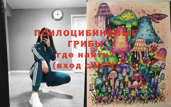 стаф Липки