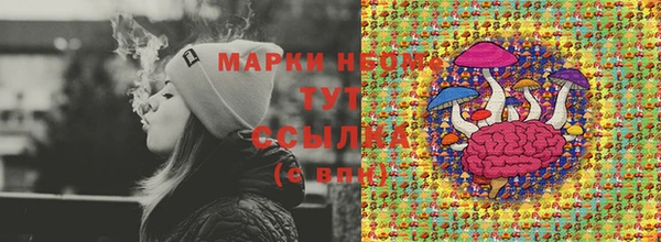 стаф Липки