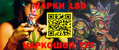 гашик Кинель