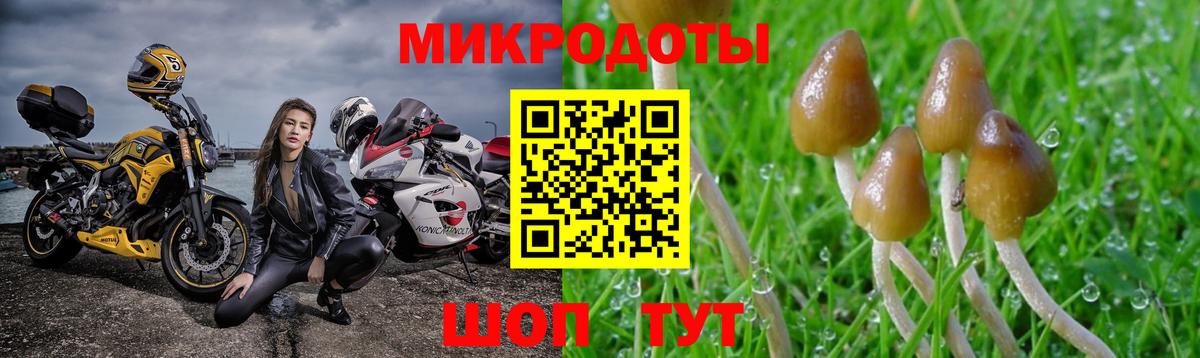 Галлюциногенные грибы Magic Shrooms  Вход с VPN  что такое   Коломна 